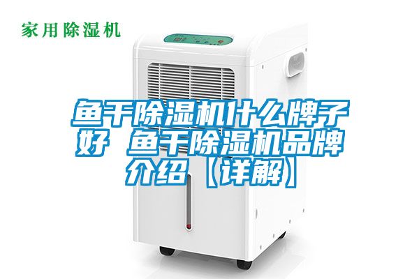 鱼干茄子视频懂你更多在线观看什么牌子好 鱼干茄子视频懂你更多在线观看品牌介绍【详解】