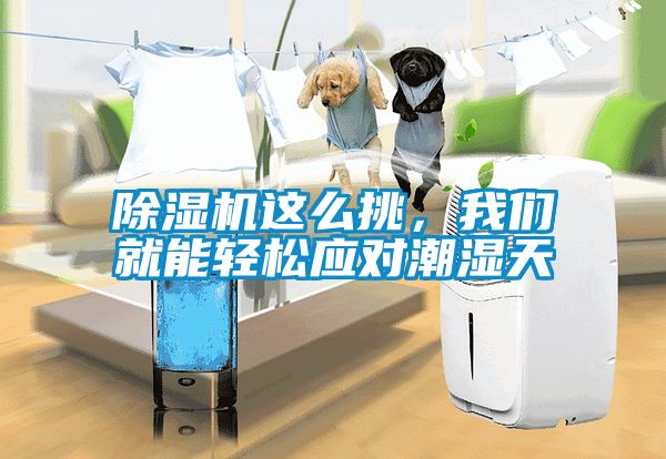 茄子视频懂你更多在线观看这么挑，茄子污视频下载就能轻松应对潮湿天