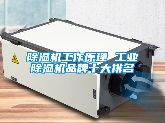 茄子视频懂你更多在线观看工作原理 工业茄子视频懂你更多在线观看品牌十大排名
