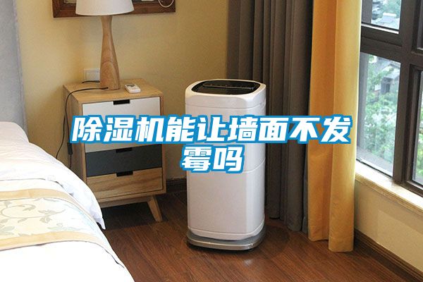 茄子视频懂你更多在线观看能让墙面不发霉吗