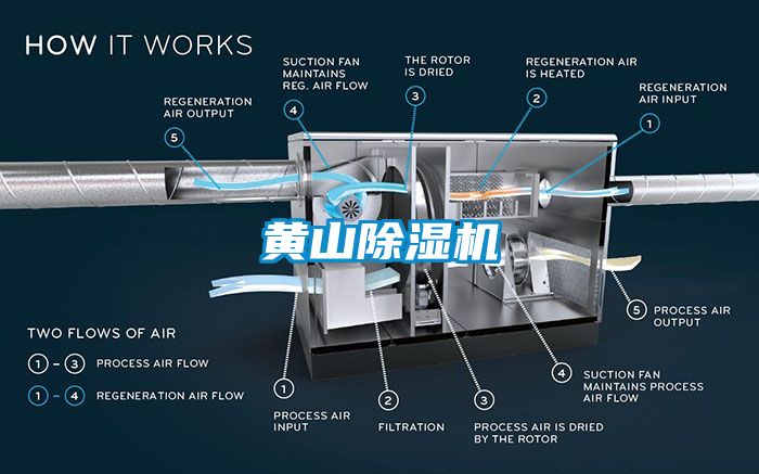黄山茄子视频懂你更多在线观看