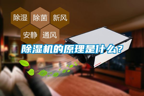茄子视频懂你更多在线观看的原理是什么？