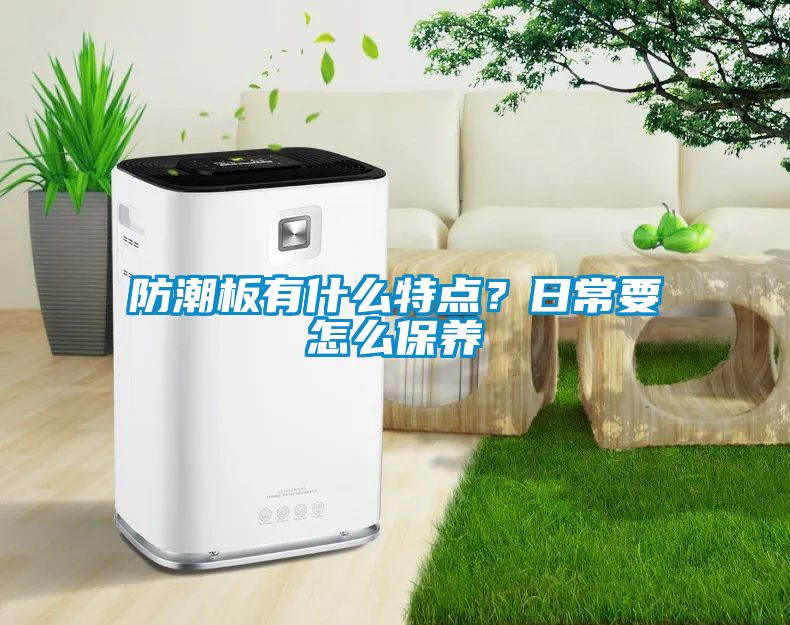 防潮板有什么特点？日常要怎么保养
