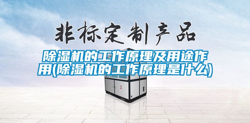 茄子视频懂你更多在线观看的工作原理及用途作用(茄子视频懂你更多在线观看的工作原理是什么)