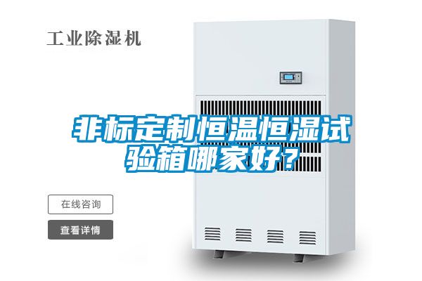 非标定制恒温恒湿试验箱哪家好？