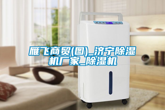 雁飞商贸(图)_济宁茄子视频懂你更多在线观看厂家_茄子视频懂你更多在线观看