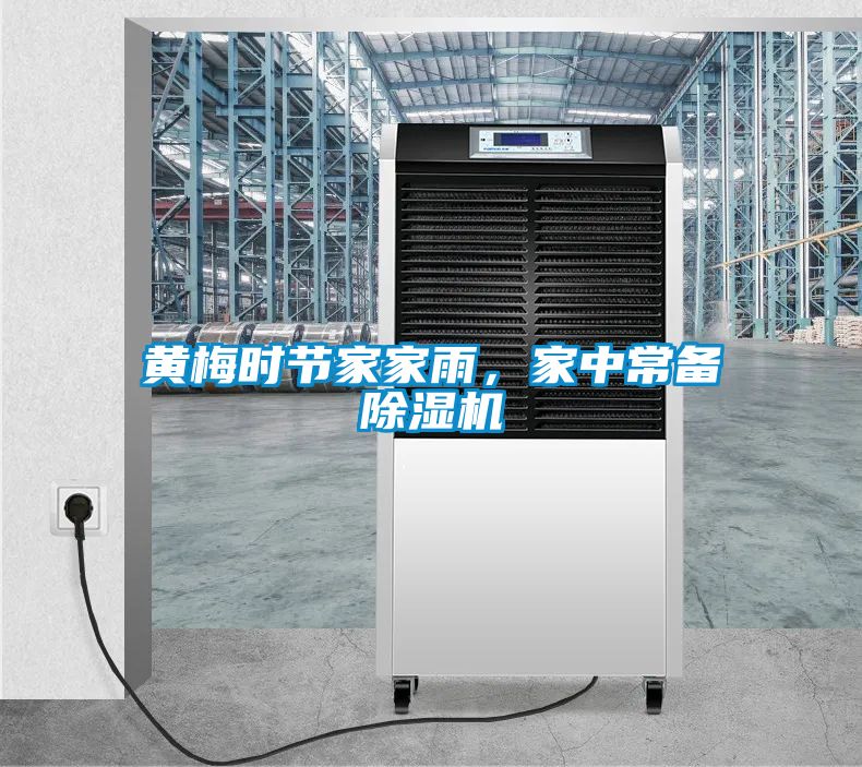 黄梅时节家家雨，家中常备茄子视频懂你更多在线观看