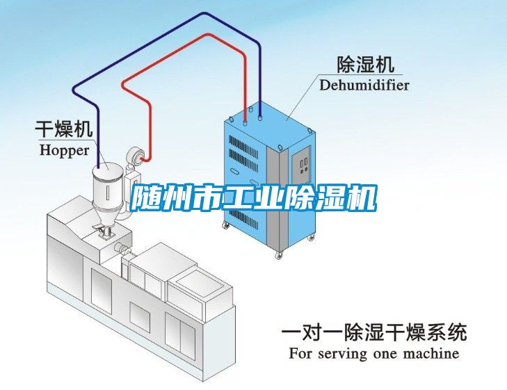 随州市工业茄子视频懂你更多在线观看