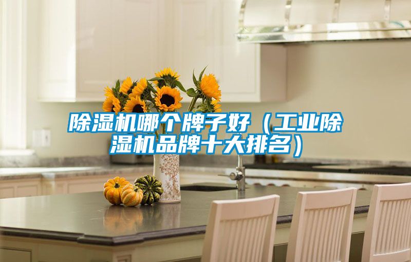 茄子视频懂你更多在线观看哪个牌子好（工业茄子视频懂你更多在线观看品牌十大排名）