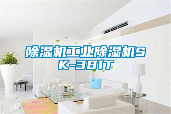 茄子视频懂你更多在线观看工业茄子视频懂你更多在线观看SK-381T