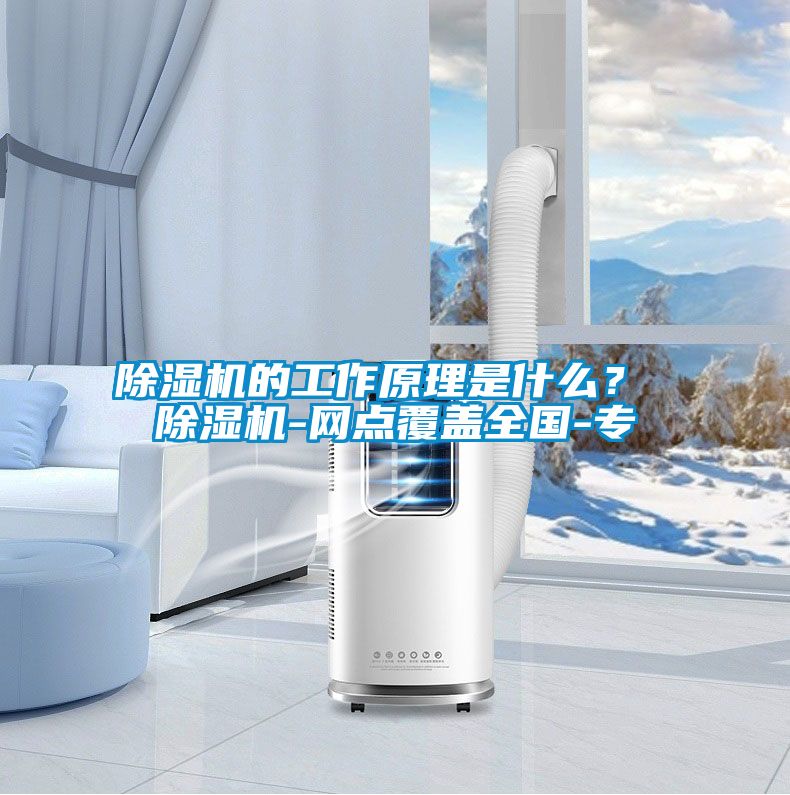 茄子视频懂你更多在线观看的工作原理是什么？ 茄子视频懂你更多在线观看-网点覆盖全国-专