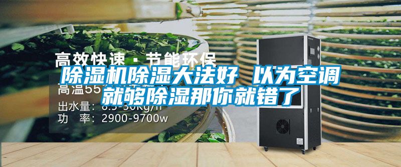 茄子视频懂你更多在线观看除湿大法好 以为空调就够除湿那你就错了