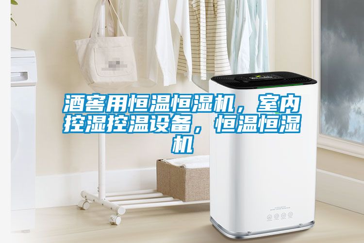 酒窖用恒温恒湿机，室内控湿控温设备，恒温恒湿机