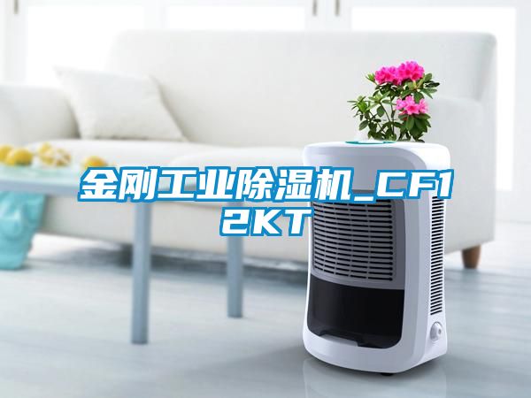 金刚工业茄子视频懂你更多在线观看_CF12KT