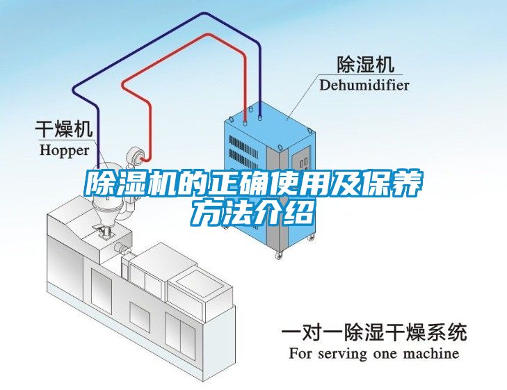 茄子视频懂你更多在线观看的正确使用及保养方法介绍