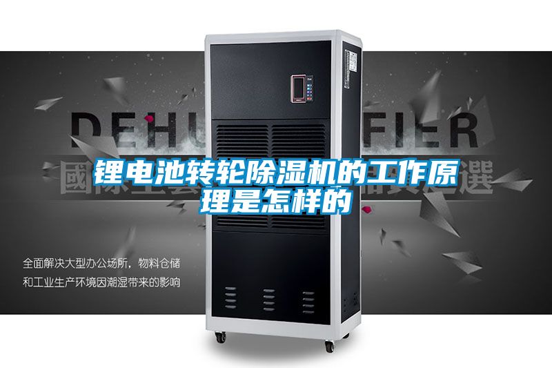 锂电池转轮茄子视频懂你更多在线观看的工作原理是怎样的