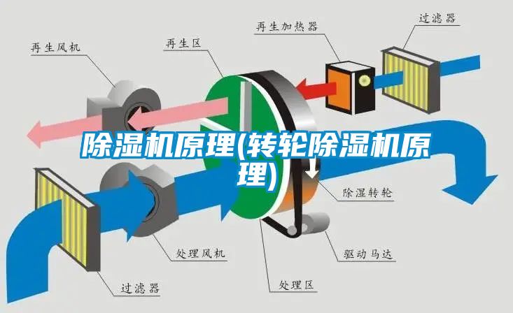 茄子视频懂你更多在线观看原理(转轮茄子视频懂你更多在线观看原理)