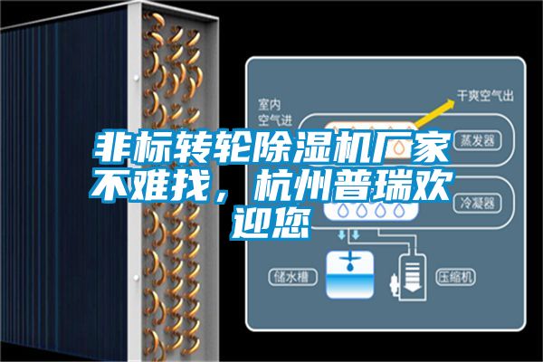 非标转轮茄子视频懂你更多在线观看厂家不难找，杭州普瑞欢迎您