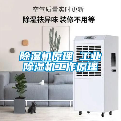 茄子视频懂你更多在线观看原理 工业茄子视频懂你更多在线观看工作原理