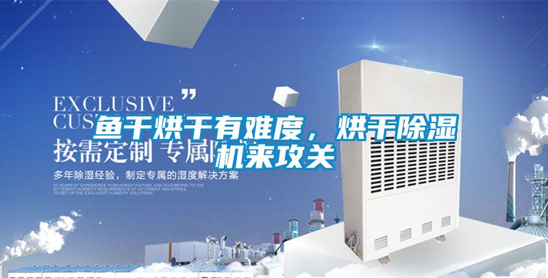 鱼干烘干有难度，烘干茄子视频懂你更多在线观看来攻关