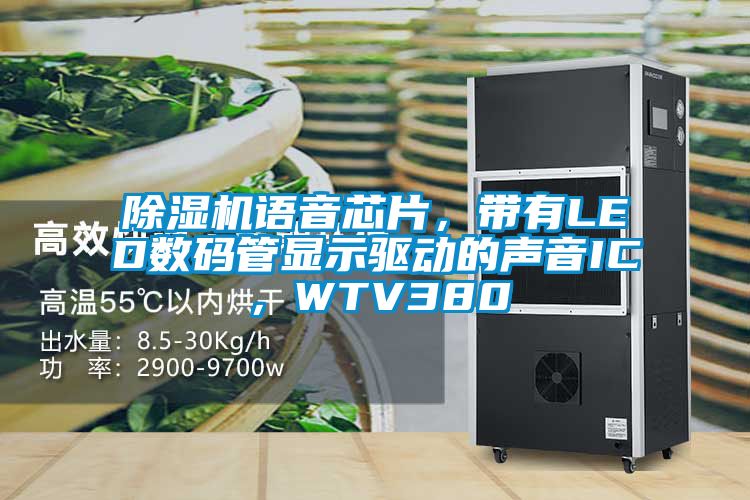 茄子视频懂你更多在线观看语音芯片，带有LED数码管显示驱动的声音IC，WTV380