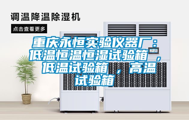 重庆永恒实验仪器厂：低温恒温恒湿试验箱 , 低温试验箱 , 高温试验箱