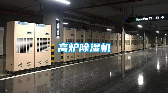 高炉茄子视频懂你更多在线观看
