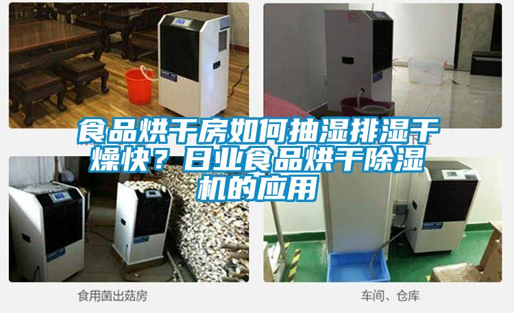 食品烘干房如何抽湿排湿干燥快？日业食品烘干茄子视频懂你更多在线观看的应用