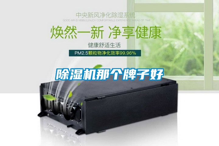 茄子视频懂你更多在线观看那个牌子好