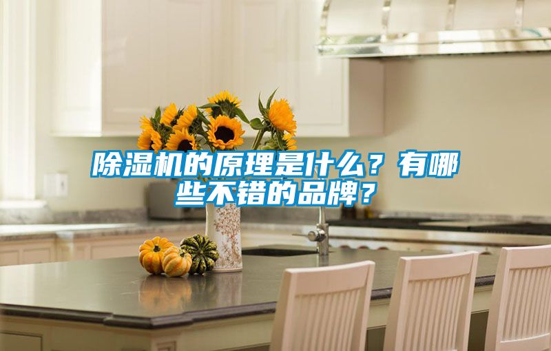 茄子视频懂你更多在线观看的原理是什么？有哪些不错的品牌？