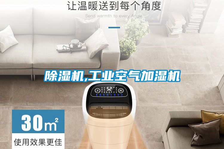 茄子视频懂你更多在线观看,工业空气加湿机