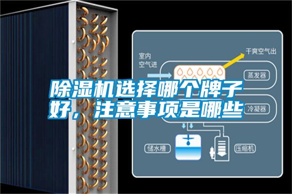 茄子视频懂你更多在线观看选择哪个牌子好，注意事项是哪些