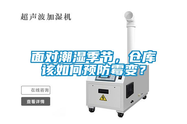 面对潮湿季节，仓库该如何预防霉变？