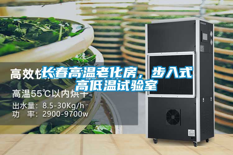 长春高温老化房，步入式高低温试验室