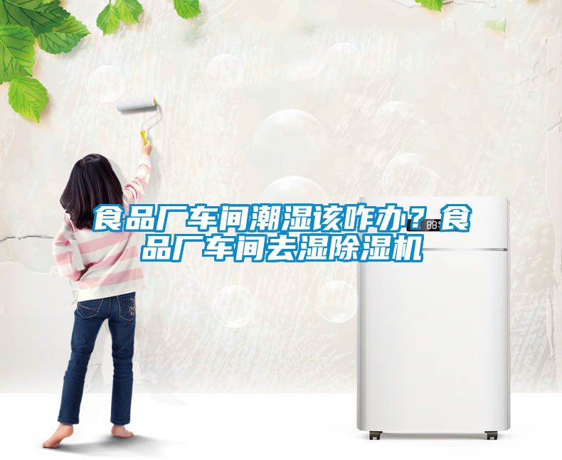 食品厂车间潮湿该咋办？食品厂车间去湿茄子视频懂你更多在线观看