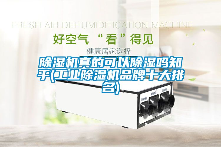 茄子视频懂你更多在线观看真的可以除湿吗知乎(工业茄子视频懂你更多在线观看品牌十大排名)