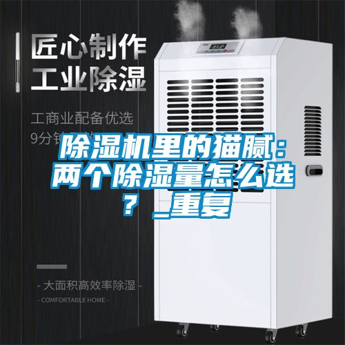 茄子视频懂你更多在线观看里的猫腻：两个除湿量怎么选？_重复