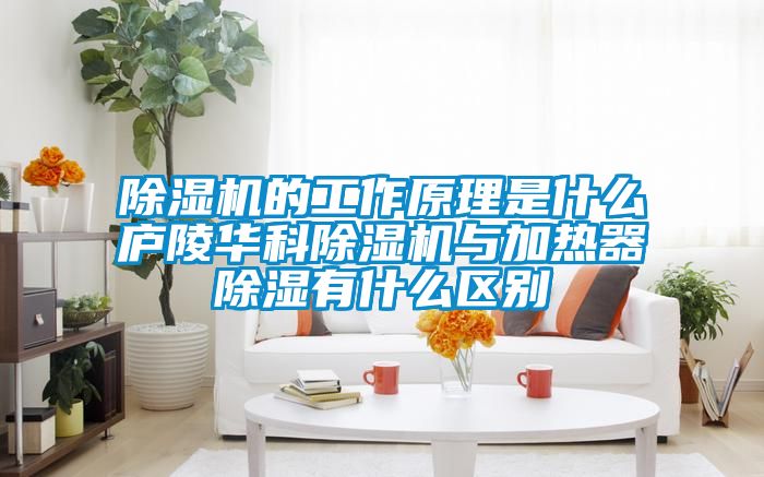 茄子视频懂你更多在线观看的工作原理是什么庐陵华科茄子视频懂你更多在线观看与加热器除湿有什么区别