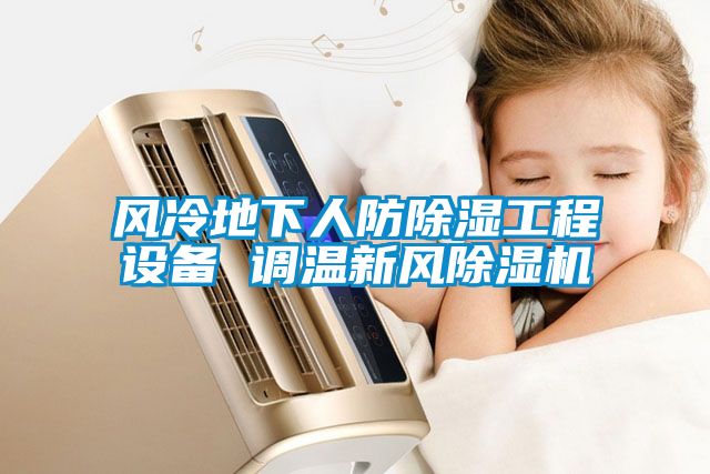 风冷地下人防除湿工程设备 调温新风茄子视频懂你更多在线观看