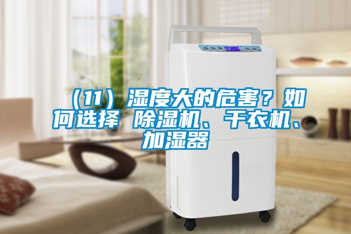 （11）湿度大的危害？如何选择 茄子视频懂你更多在线观看、干衣机、加湿器