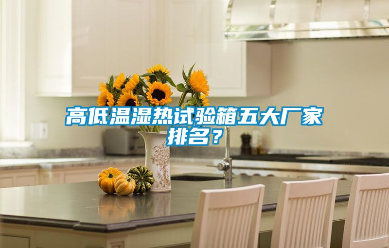 高低温湿热试验箱五大厂家排名？