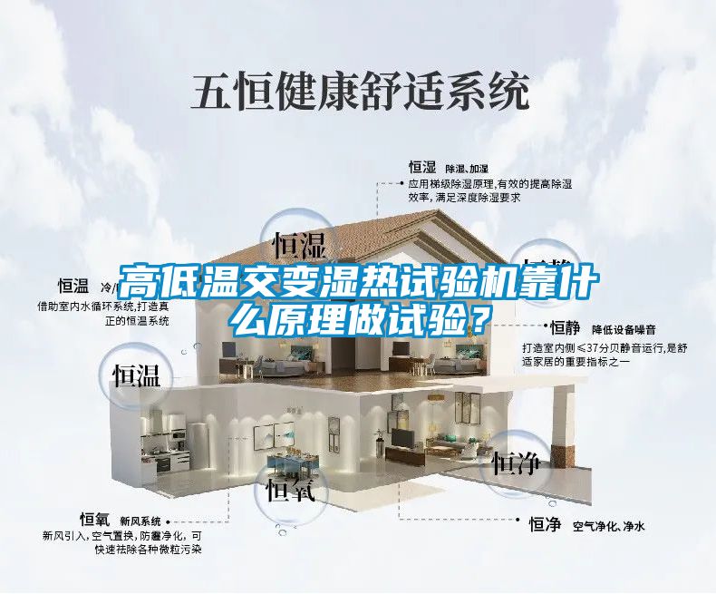 高低温交变湿热试验机靠什么原理做试验？