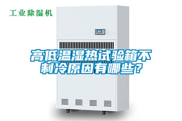 高低温湿热试验箱不制冷原因有哪些？