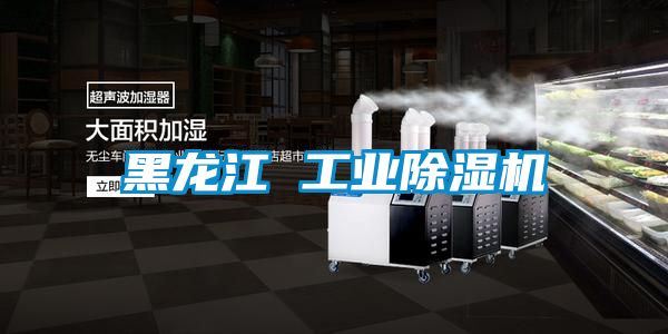黑龙江 工业茄子视频懂你更多在线观看