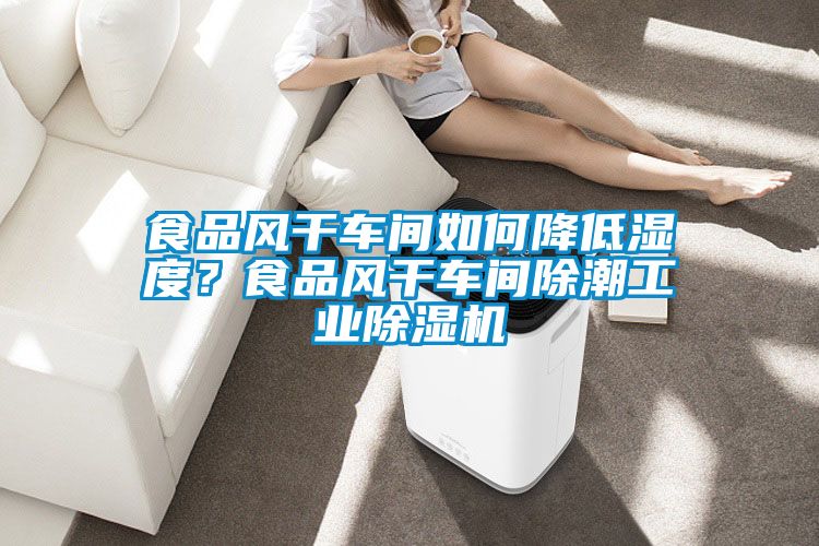 食品风干车间如何降低湿度？食品风干车间除潮工业茄子视频懂你更多在线观看