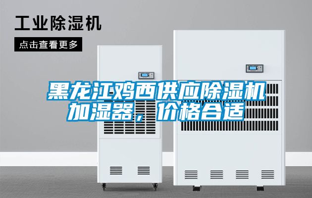 黑龙江鸡西供应茄子视频懂你更多在线观看加湿器，价格合适